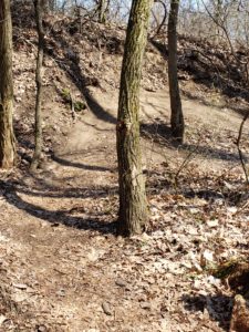 Bass Lake Rec Area bike Trail- 5 Great bike trails around Grand Haven, Michigan