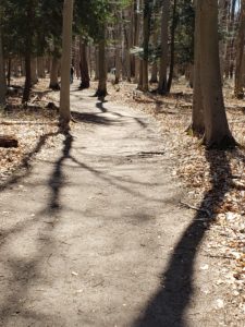 Pigeon Creek Park Bike Trail- 5 Great bike trails around Grand Haven, Michigan