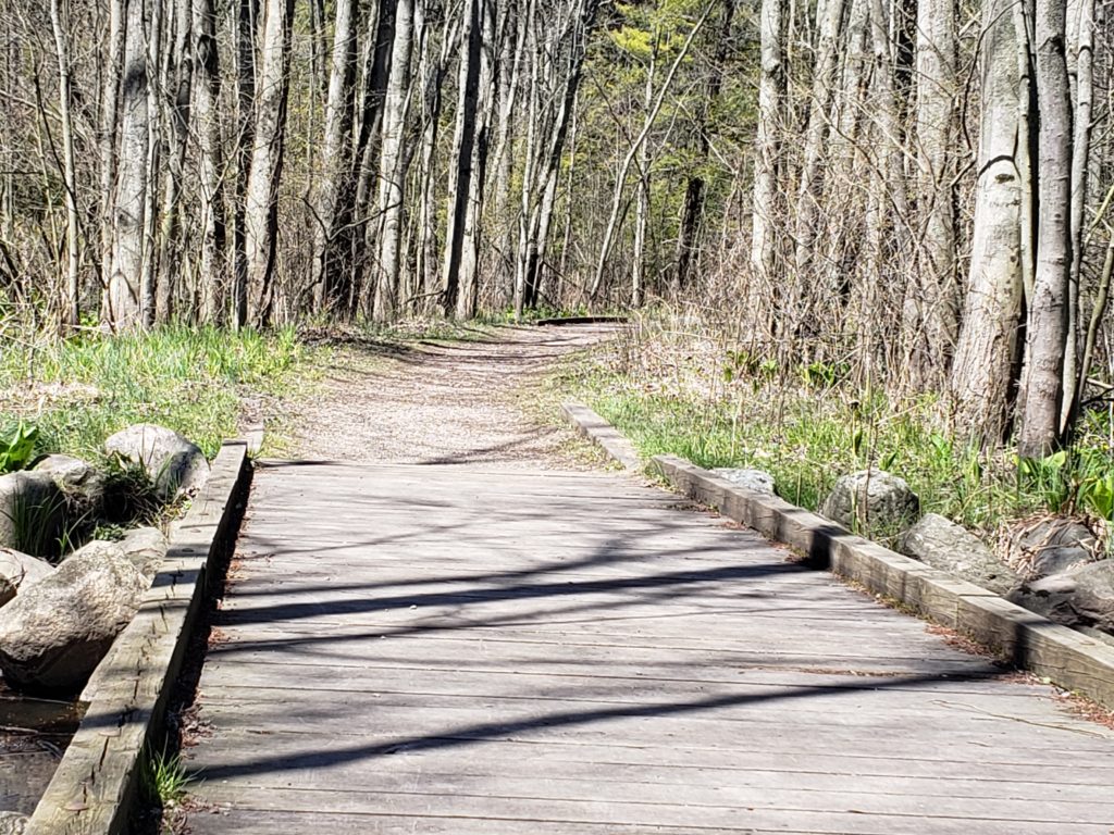 Pigeon Creek Park Bike Trail boardwalk